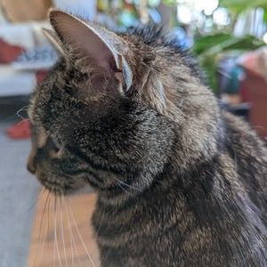 Meet your Posher, Becky